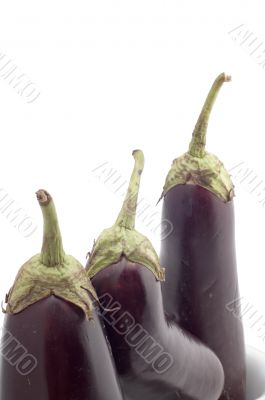aubergine close up
