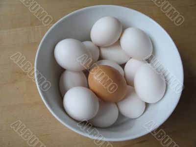 white and brown eggs