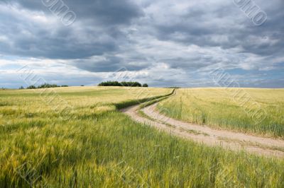 Road through field.