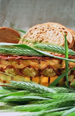 Spicas of rye next to basket with bread