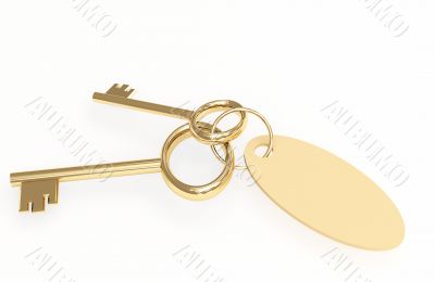 Two 3d golden keys with label