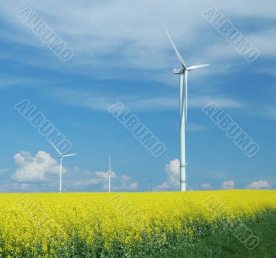 farm of windturbines close to rape field