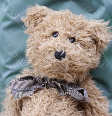 teddy bear teddy bear