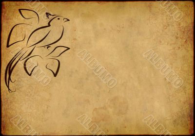 Background - a sheet of the old, soiled paper