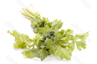 celery