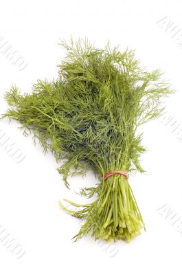 dill