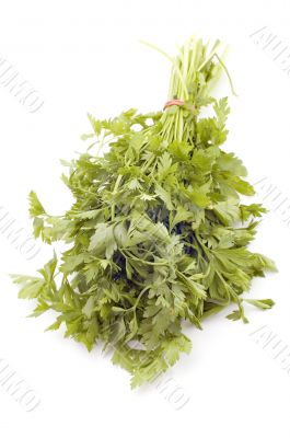 parsley