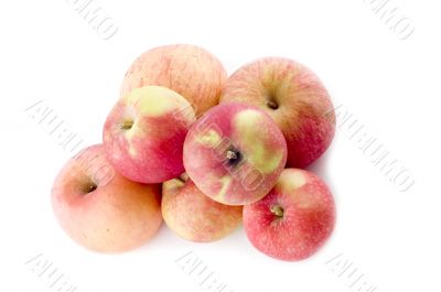 colored apple on white