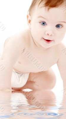 portrait of crawling baby boy
