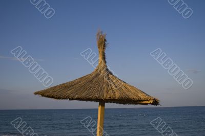 Single thatched umbrella