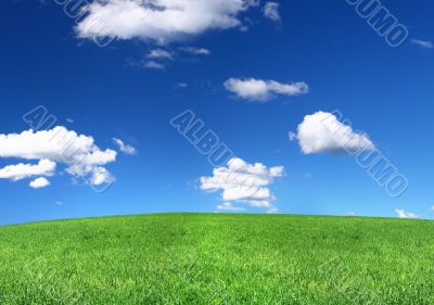 panoramic view of peaceful grassland