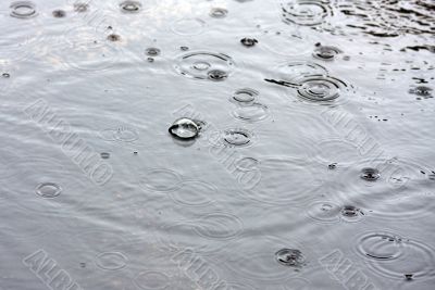 Drops of a rain