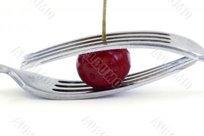 wet cherry with two fork