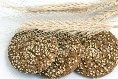 Round oat cookie with ear