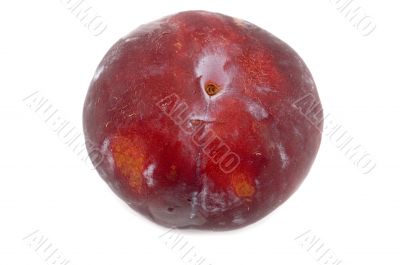 Red plum