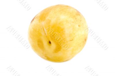 Yellow plum