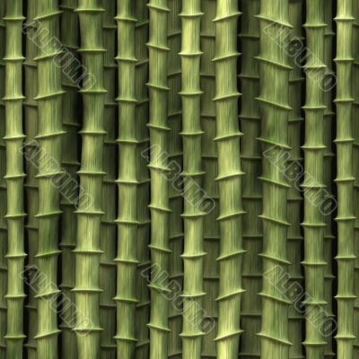 Bamboo plants