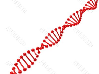 dna structure over white