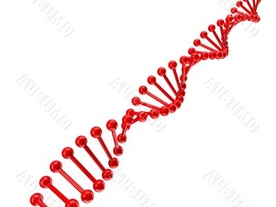 dna structure over white dna structure over white