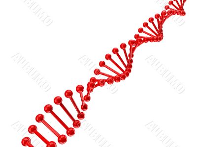 dna structure over white