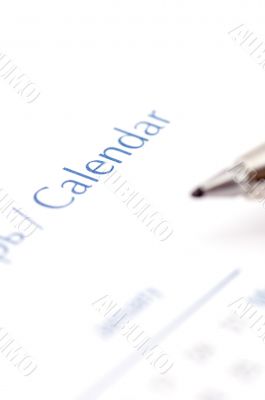 Day Planner calendar macro