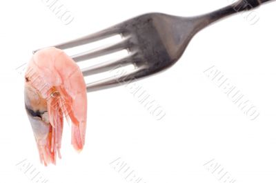 shrimp on fork