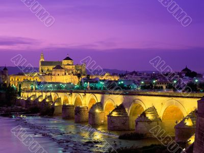 Cordoba Bridge.