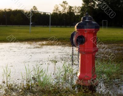 Morning Fire Hydrant