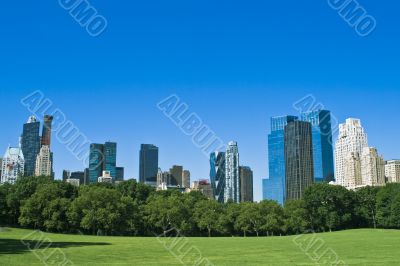 Skyscrapers and a park