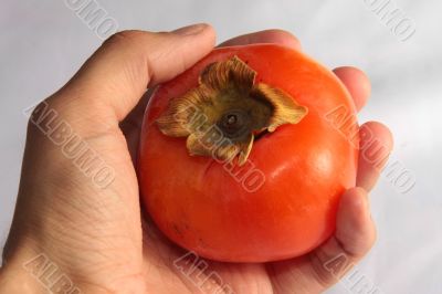 a persimmon a persimmon