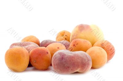 apricot and peach