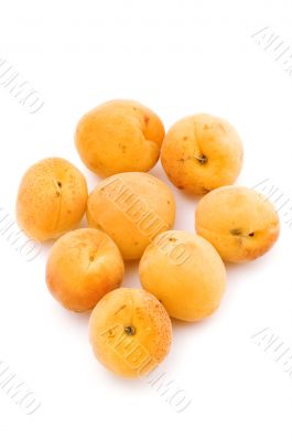 apricot on white background