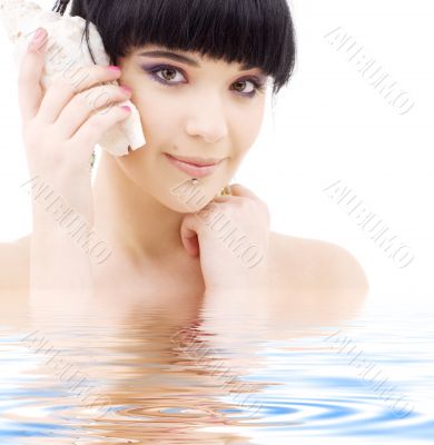 shell girl shell girl