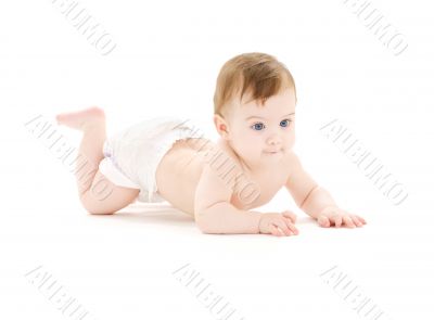 crawling baby boy crawling baby boy