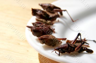 fried grasshoppers