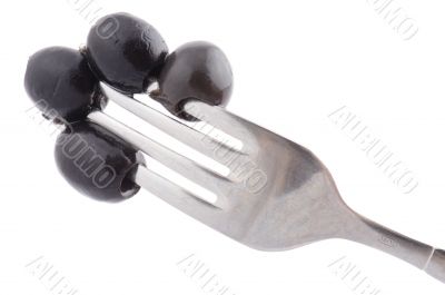 black olive on fork