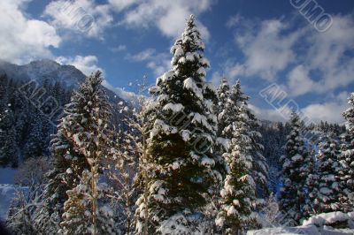 Winter Sky`s