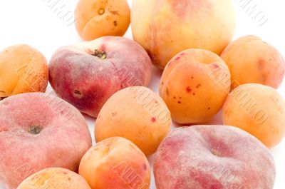 apricot and peach closeup
