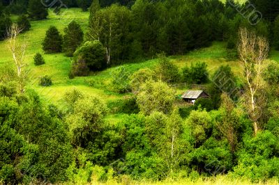 lonely house