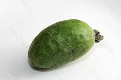 a feijoa