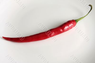 red pepper