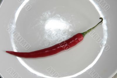 clock dial from red pepper clock dial from red pepper