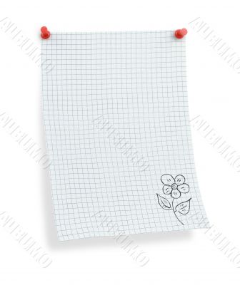 thumbtacked squared paper with flower motif