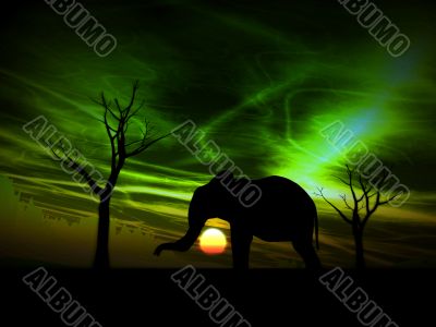 Elephant Sunrise