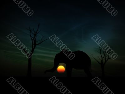 Elephant Sunrise