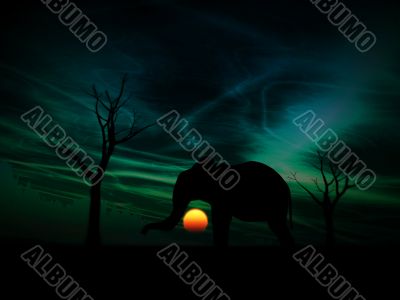 Elephant Sunrise