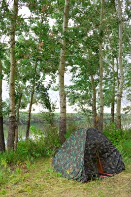 On shore near the trees installed tent