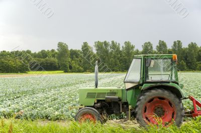 Agriculture landscape