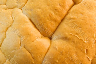 white bread close up