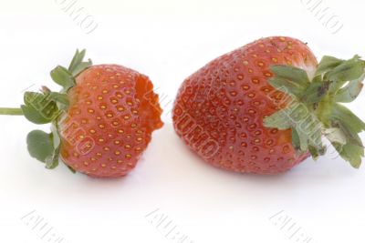 Healthy red strawberry